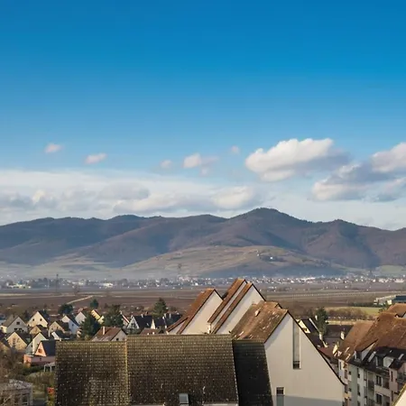 La Route Des Vins En Vélo à Avec Balcon Appartement Colmar