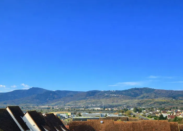 La Route Des Vins En Vélo à Avec Balcon Colmar