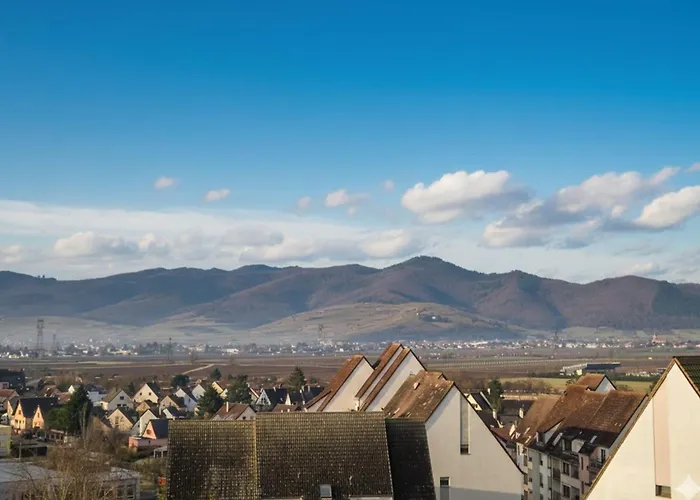 La Route Des Vins En Vélo à Avec Balcon Appartement Colmar